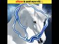 These Great Horses Will Remain Immortal Even After Death Maharana Pratap And Chetak Shorts