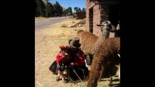 Ecos Canto Ancestral, Arawi compositora: Luzmila Carpio