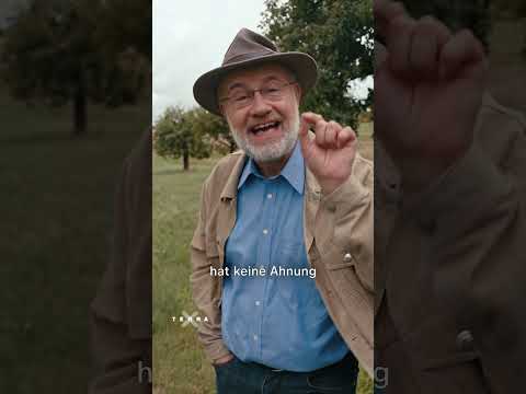 Gesunder Boden = Gesundes Klima?! 🌎🌱 | Terra X Lesch & Co