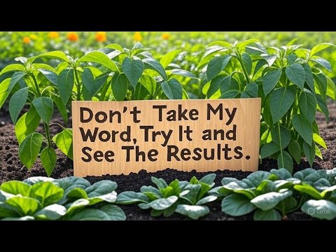 This One Natural Fertilizer Will Make Your Peppers Explode with Growth – No Chemicals Needed