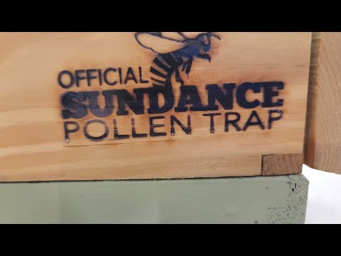 How does the Sundance pollen trap work?