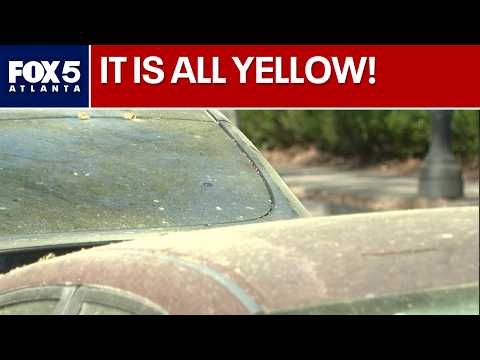 Atlanta Pollen