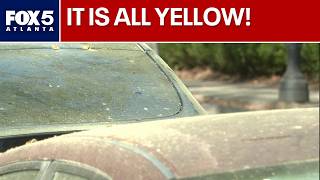Atlanta's pollen 'pocalypse' is officially here | FOX 5 News