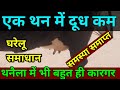 Home Remedy For Less Or No Milk In One Udder Of Cow Or Buffalo Ramawat