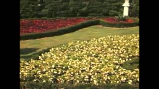 I&#39;ll Do It Anyway (Lemonheads cover)