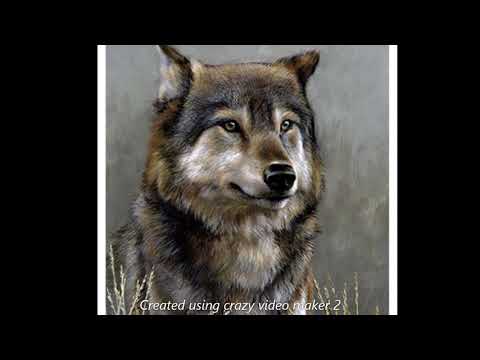 USERx  - Heavy Heavy (Clean)