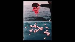 Mndsgn - Use Ya Mnd (Twentyfourseven) [slow/reverb/no drums]