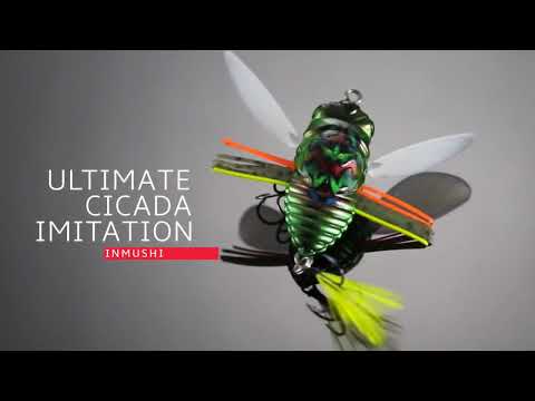 Vídeo Isca Duo Realis Shinmushi - Cigarrinha