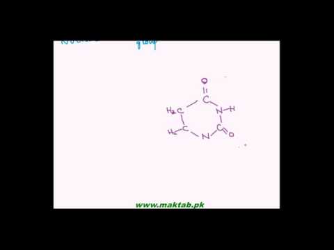FSc Biology Book1, CH 2, LEC 12: Nucleic Acids and Their Types