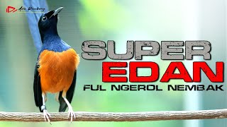 Download lagu MURAI BATU EDAN SUPER GACOR FULL NEMBAK NGEBREN LOS MATERI ISIAN mp3 Download lagu MURAI BATU EDAN SUPER GACOR FULL NEMBAK NGEBREN LOS MATERI ISIAN mp3