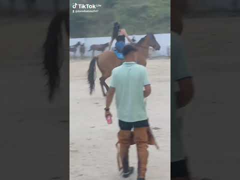 Cavalgada top em Jatobá Mirangaba Bahia. 🐎🐴🫏