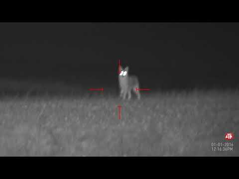 Coyote Hunting - ATN X Sight II