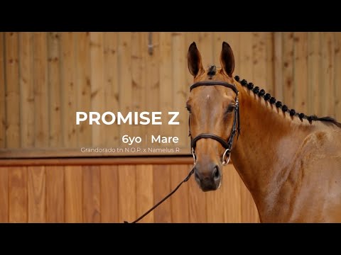 7. Promise Z | Profile