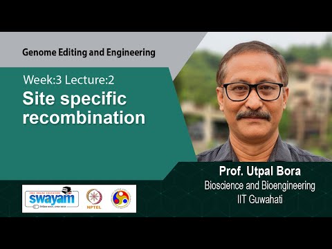 Genome Editing and Engineering Intro Video