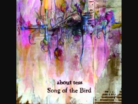 about tess - Phantom of the Bird