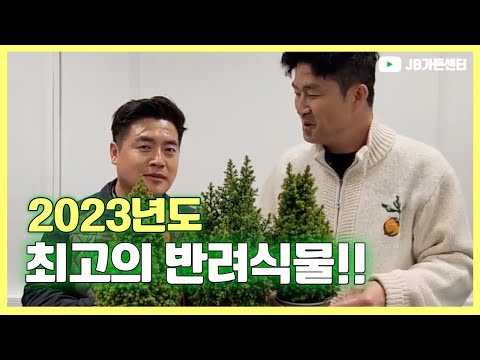 2023년 최고의 반려식물을 소개합니다~! 돈이 되는 나무 식테크 고소득 작물 2023년 최고의 반려식물을 소개합니다~! 돈이 되는 나무 식테크 고소득 작물