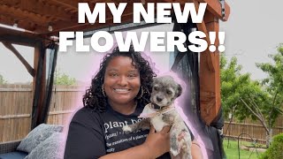 🔴LIVESTREAM: Garden Bed Update and Chat!🌸