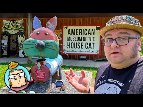 American Museum of the House Cat - Open to the Public At Last! - Rescue Possums