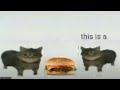 This Is A Hamburger