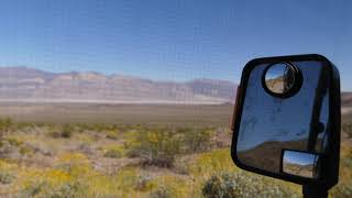 Fuzzy Wuzzy was a bare bear