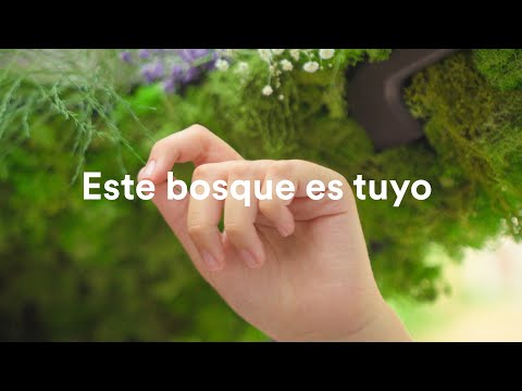 Tú también eres parte de este impacto