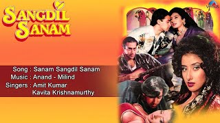 Download lagu Sangdil Sanam : Sanam Sangdil Sanam Full Audio Song | Salman Khan, Manisha Koirala | mp3 Download lagu Sangdil Sanam : Sanam Sangdil Sanam Full Audio Song | Salman Khan, Manisha Koirala | mp3