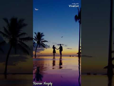 حبيبي يا ليل &ndash; ابو❤