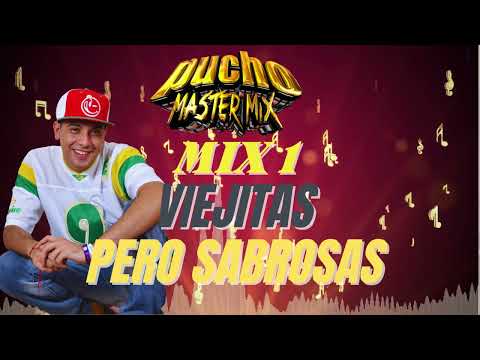 🔴 Mix Cumbias Dos Pasitos 🎧  Dj Pucho Mastermix