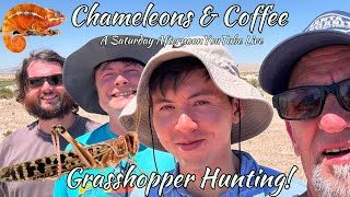 Grasshopper Hunting for Chameleons