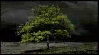 William Orbit - Adagio For Strings video