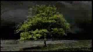 William Orbit Barbers Adagio For Strings