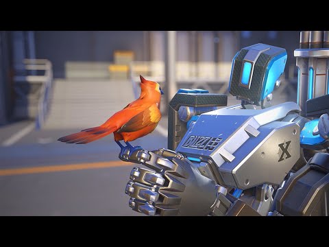 My Overwatch 2 Hero Gallery Collection! (99% COMPLETE)