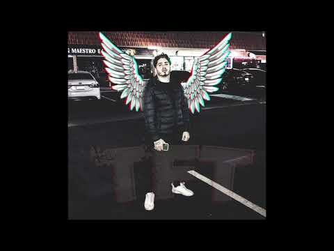 Arab Falcon Fire Verse مقطع نادر لصقر العرب