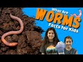 Earthworm Facts For Kids - All About Worms