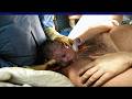 ULTIMATE NATURAL BIRTH 2026 The Most Powerful Story Of Motherhood BirthVlog