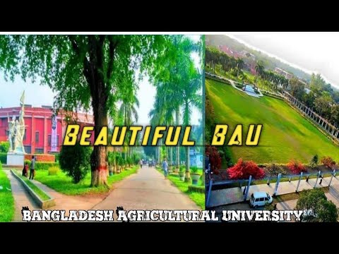 Beautiful BAU। #Bangladesh_Agricultural_University । #Rj_Rincon