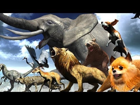 Tokyo Jungle - Test/Review zum PSN-Actionspiel (Gameplay)