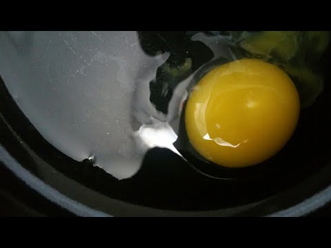 Küken Päppelfutter, Antikörper fürs Immunsystem