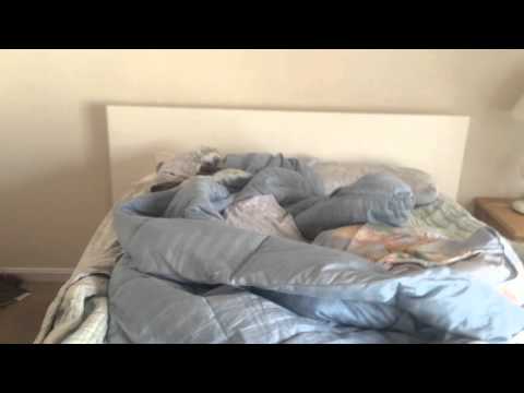 ikea furniture assembly sevice in lexington park MD by Furniture Assembly Experts