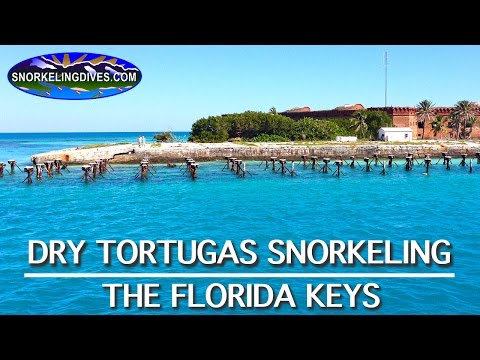 Snorkeling Dry Tortugas | Florida Keys