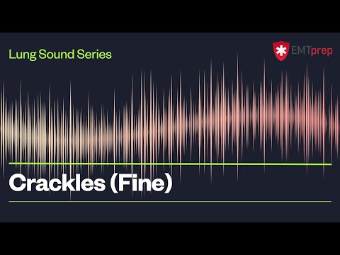 Fine Crackles Lung Sounds - EMTprep.com