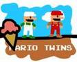 Mario Twins