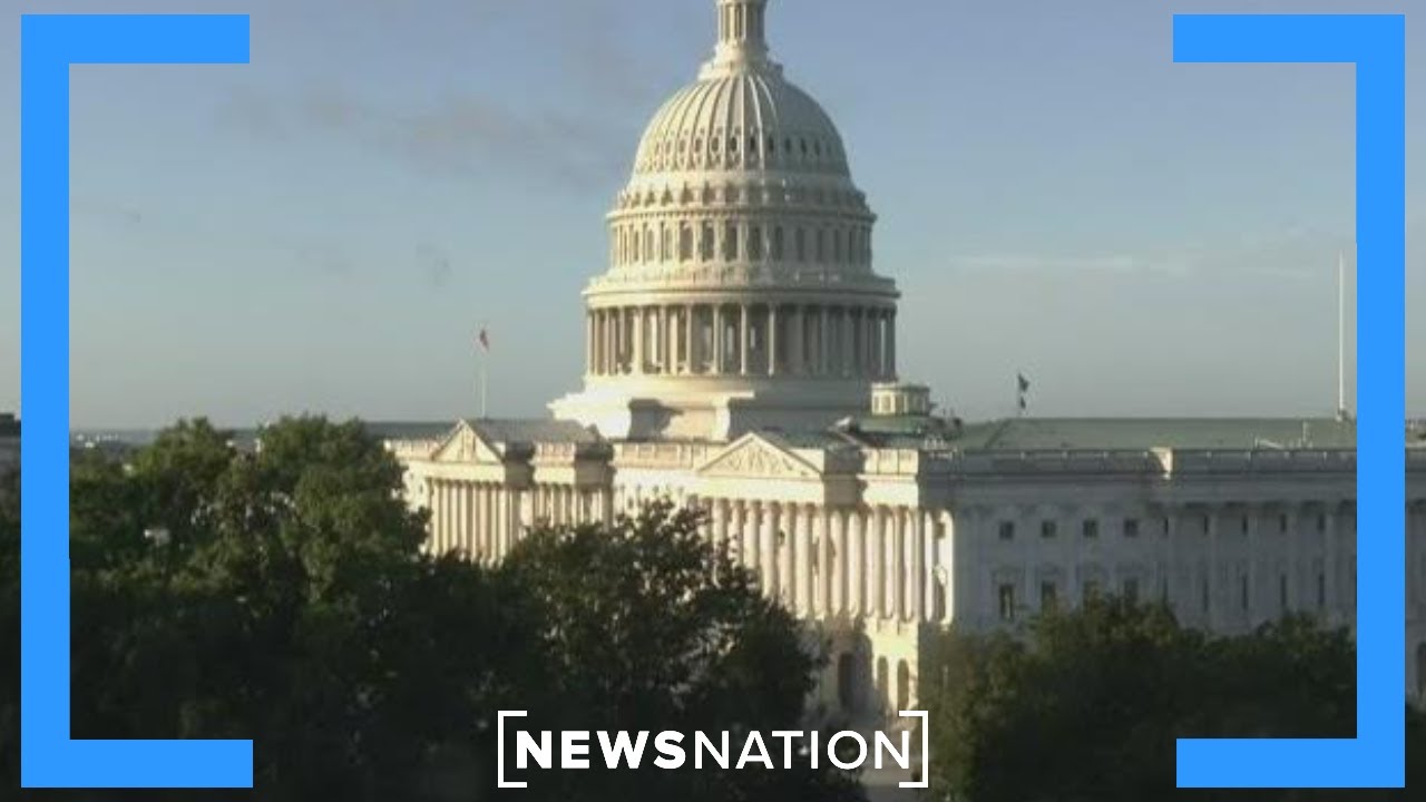 How is the government shut down impacting small businesses? | Morning in America