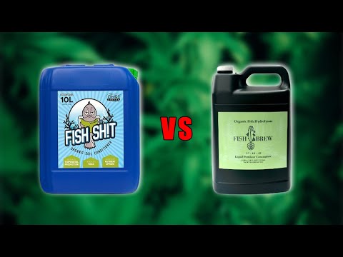 Fish Shit vs. Fish Brew