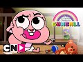 De Wonderlijke Wereld van Gumball | Lief, boosaardig zusje | Cartoon Network
