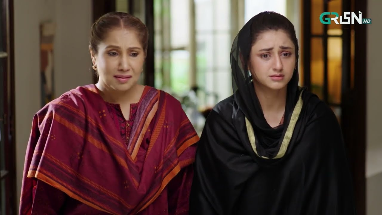 Aik Bhool Episode 49 | Best Scene 05 | Green TV Entertainment