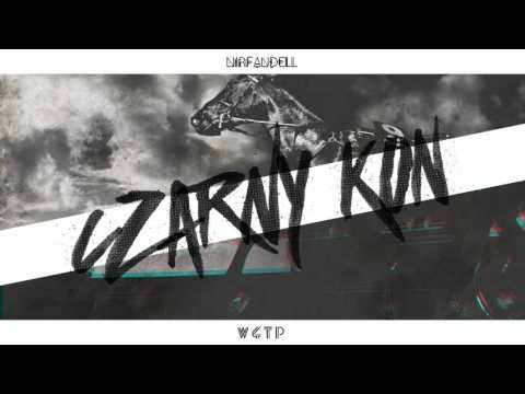 SOLAR ｘ CZARNY KOŃ ｘ BLEND