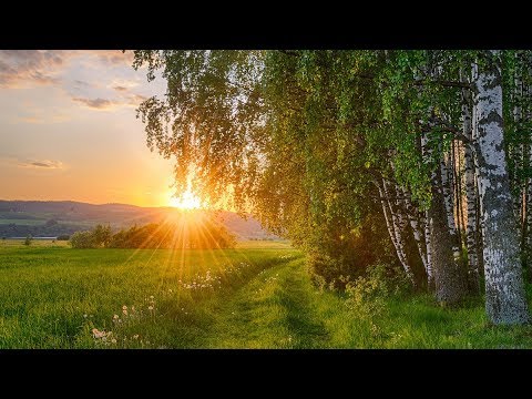 Светлая Русь