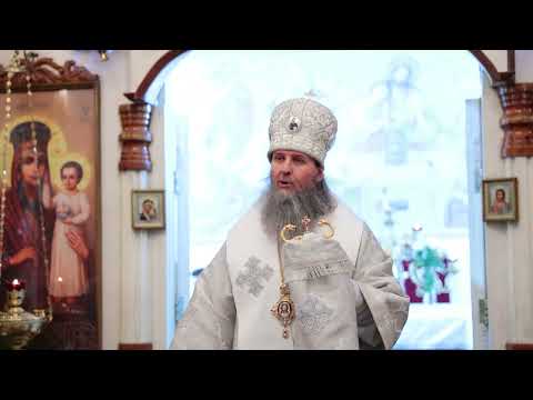 Митрополит Даниил: Господь Своим рождением показывает нам пример глубочайшего смирения