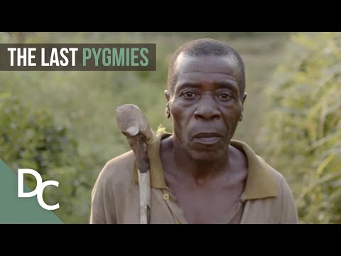 The Last Pygmies | Extreme Tribe | Part 1 | Documentary Central